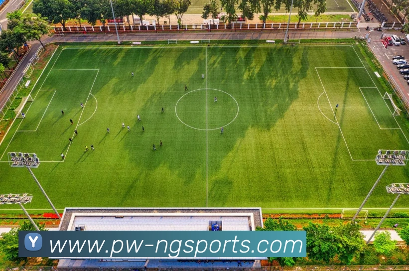 NG体育APP品牌故事